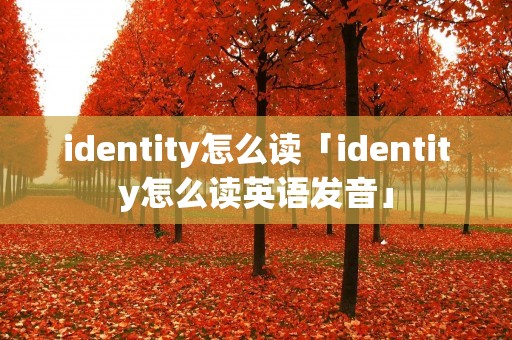 identity怎么读「identity怎么读英语发音」