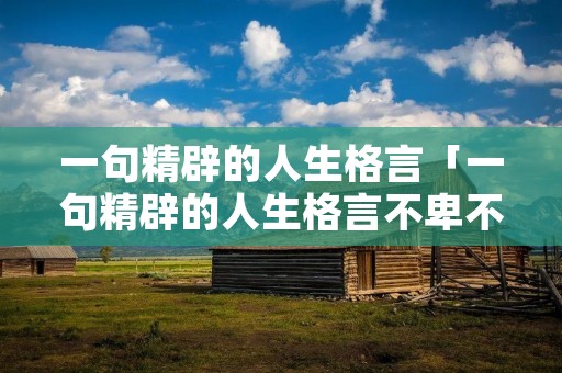 一句精辟的人生格言「一句精辟的人生格言不卑不亢」