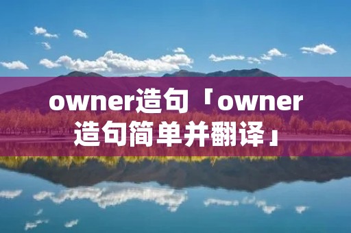 owner造句「owner造句简单并翻译」