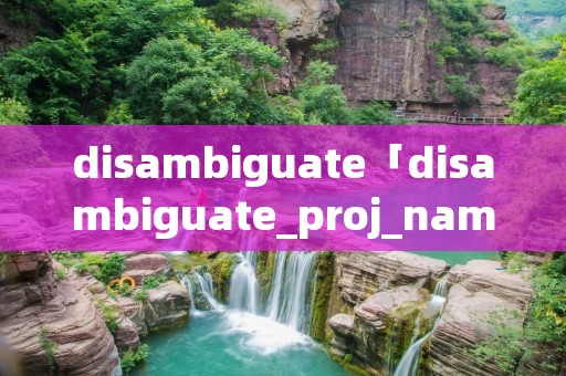 disambiguate「disambiguate_proj_name」 disambiguate「disambiguate_proj_name」