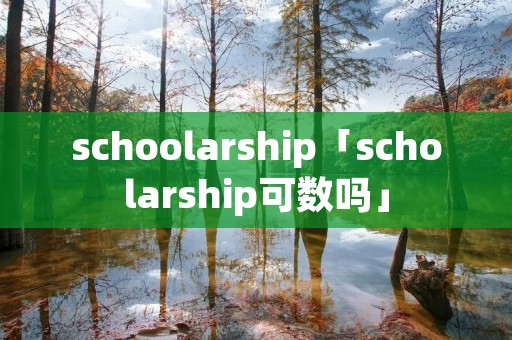 schoolarship「scholarship可数吗」 schoolarship「scholarship可数吗」