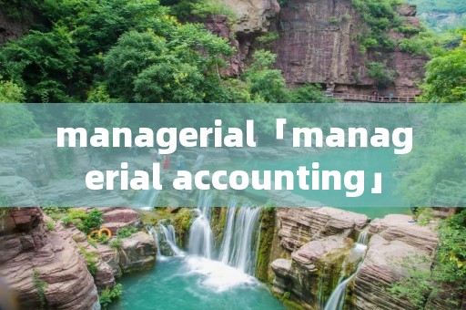 managerial「managerial accounting」