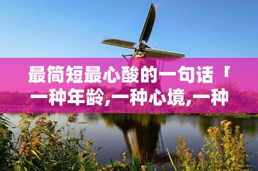 最简短最心酸的一句话「一种年龄,一种心境,一种领悟」