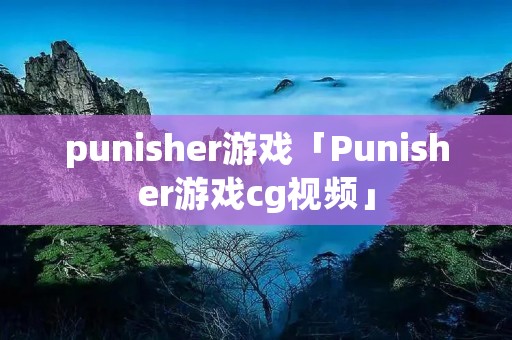 punisher游戏「Punisher游戏cg视频」