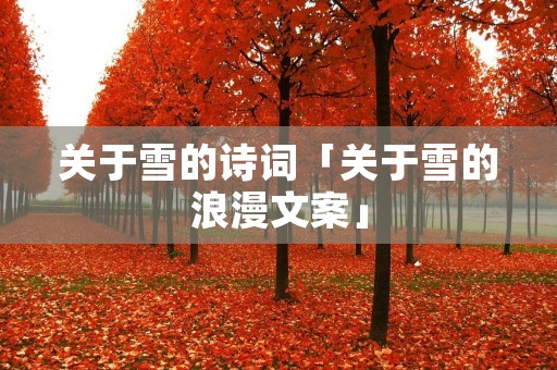 关于雪的诗词「关于雪的浪漫文案」 关于雪的诗词「关于雪的浪漫文案」