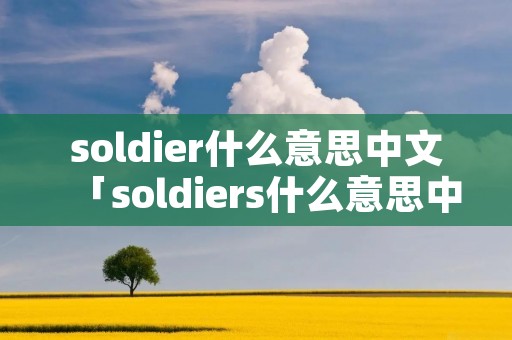 soldier什么意思中文「soldiers什么意思中文意思」 soldier什么意思中文「soldiers什么意思中文意思」