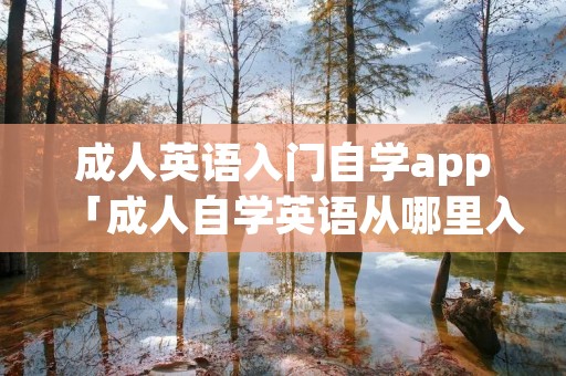 成人英语入门自学app「成人自学英语从哪里入手」