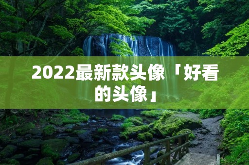 2022最新款头像「好看的头像」