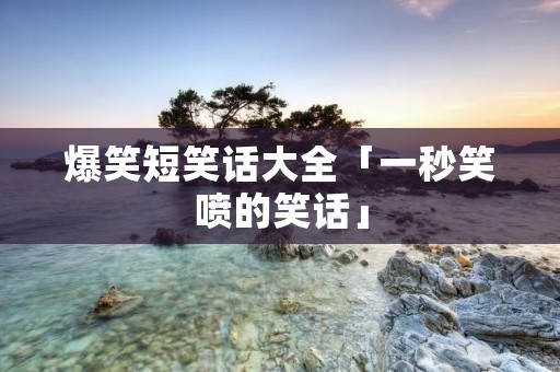 爆笑短笑话大全「一秒笑喷的笑话」