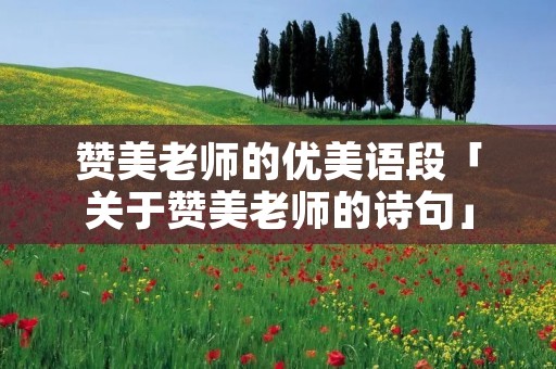 赞美老师的优美语段「关于赞美老师的诗句」