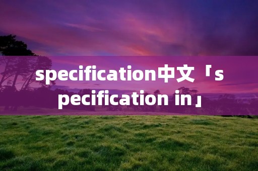 specification中文「specification in」