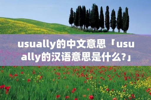 usually的中文意思「usually的汉语意思是什么?」
