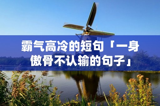 霸气高冷的短句「一身傲骨不认输的句子」