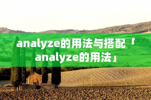 ****yze的用法与搭配「****yze的用法」