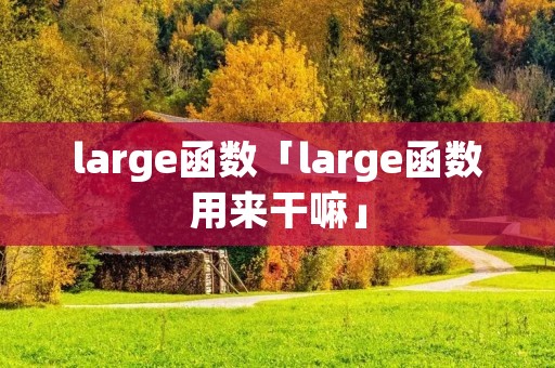 large函数「large函数用来干嘛」 large函数「large函数用来干嘛」