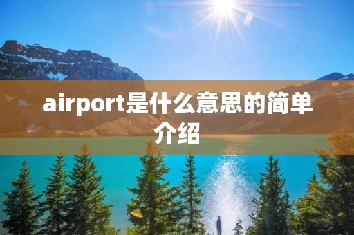 airport是什么意思的简单介绍
