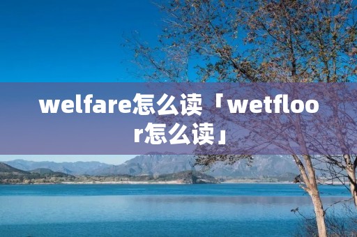 welfare怎么读「wetfloor怎么读」