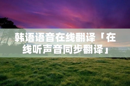 韩语语音在线翻译「在线听声音同步翻译」