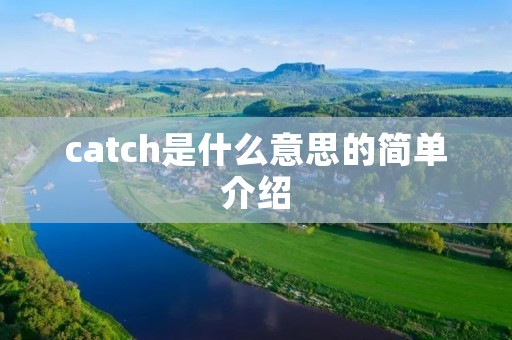 catch是什么意思的简单介绍