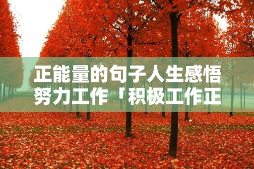 正能量的句子人生感悟努力工作「积极工作正能量的句子」
