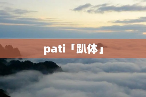 pati「趴体」