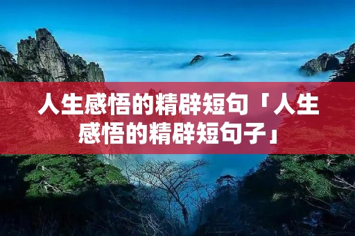 人生感悟的精辟短句「人生感悟的精辟短句子」