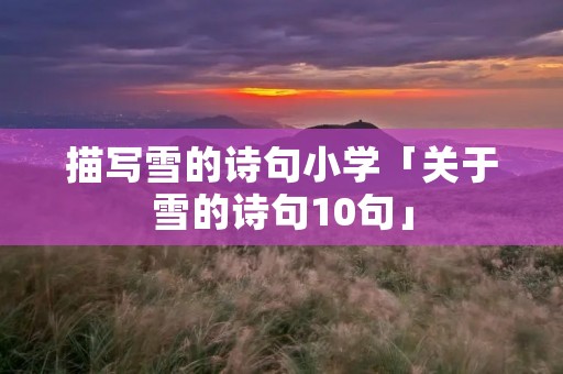 描写雪的诗句小学「关于雪的诗句10句」
