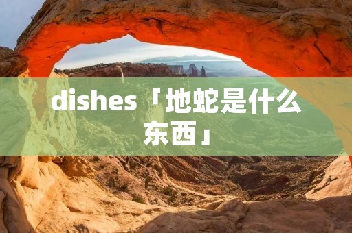 dishes「地蛇是什么东西」