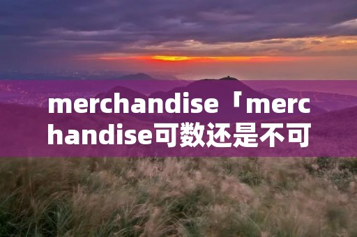 merchandise「merchandise可数还是不可数」