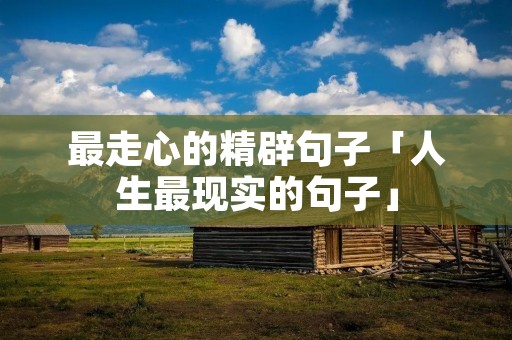 最走心的精辟句子「人生最现实的句子」