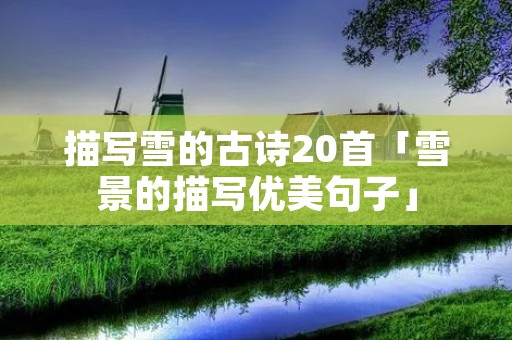描写雪的古诗20首「雪景的描写优美句子」