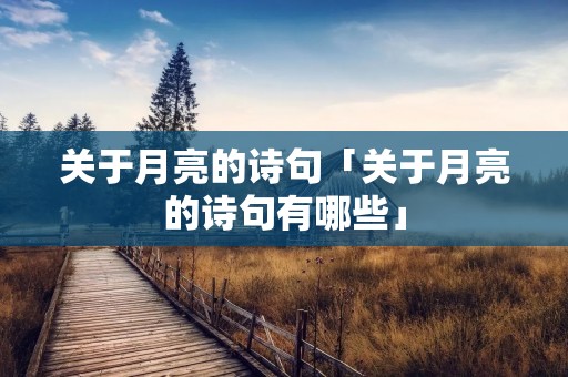 关于月亮的诗句「关于月亮的诗句有哪些」