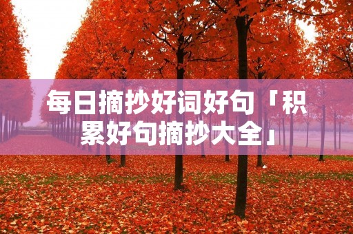 每日摘抄好词好句「积累好句摘抄大全」