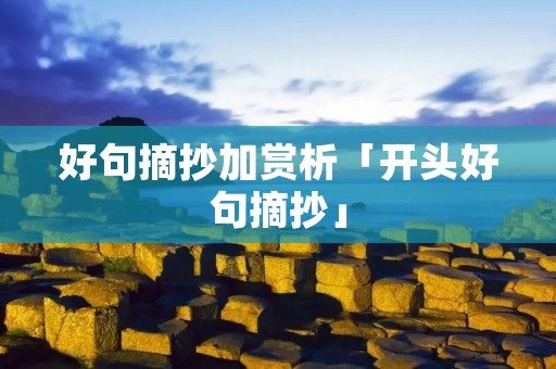 好句摘抄加赏析「开头好句摘抄」