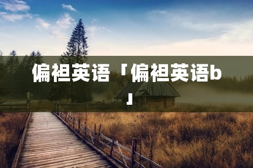 偏袒英语「偏袒英语b」