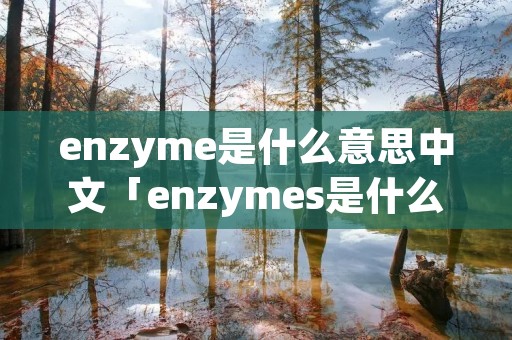 enzyme是什么意思中文「enzymes是什么意思中文」