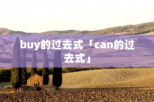 buy的过去式「can的过去式」