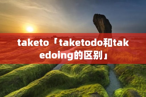taketo「taketodo和takedoing的区别」