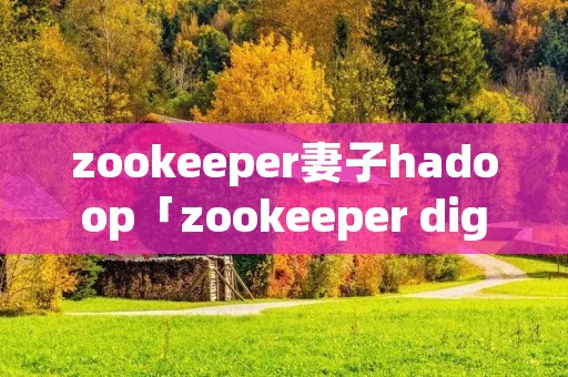 zookeeper妻子hadoop「zookeeper digest」