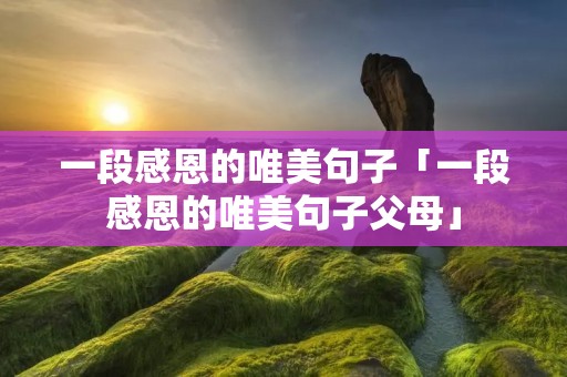一段感恩的唯美句子「一段感恩的唯美句子父母」