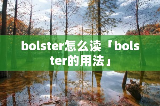 bolster怎么读「bolster的用法」