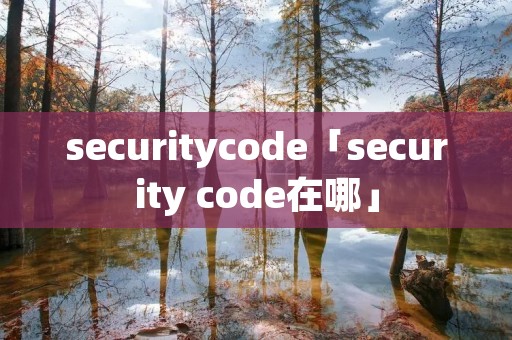 securitycode「security code在哪」