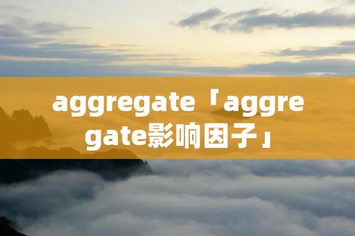 aggregate「aggregate影响因子」