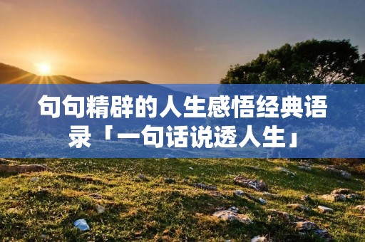 句句精辟的人生感悟经典语录「一句话说透人生」