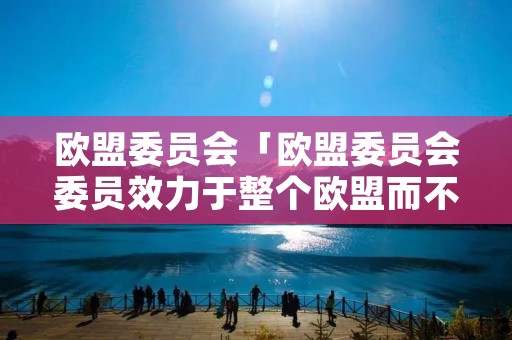 欧盟委员会「欧盟委员会委员效力于整个欧盟而不是各自的成员国」