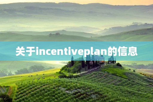 关于incentiveplan的信息 关于incentiveplan的信息