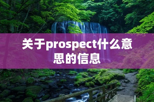 关于prospect什么意思的信息