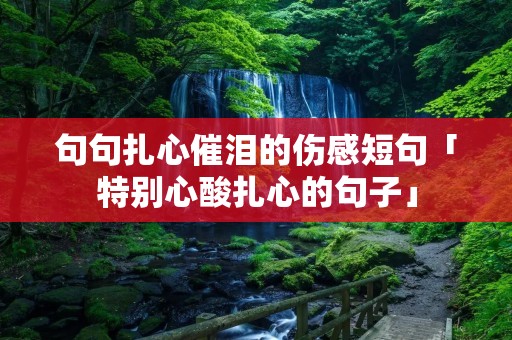 句句扎心催泪的伤感短句「特别心酸扎心的句子」