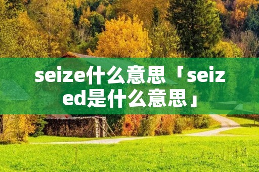 seize什么意思「seized是什么意思」