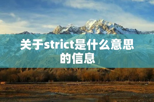 关于strict是什么意思的信息 关于strict是什么意思的信息